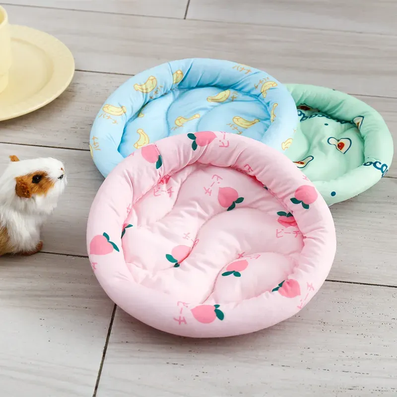 Petit animal dans son nid douillet