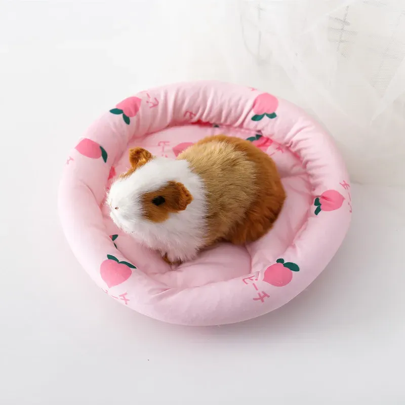 Nid chaleureux pour petit animal