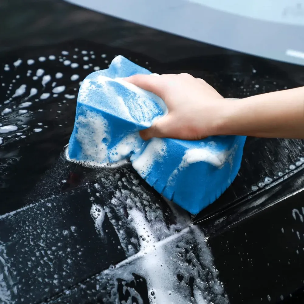 Éponge de lavage, vue détaillée