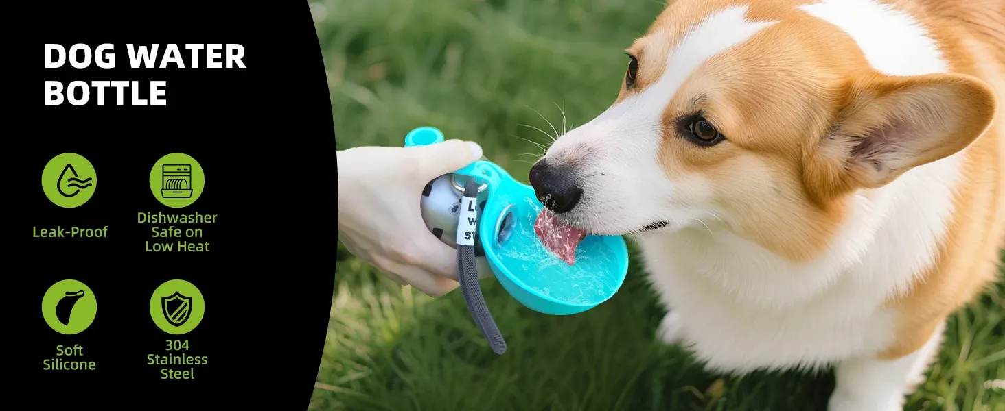 Gourde 2-en-1 pour petits chiens, mise en situation