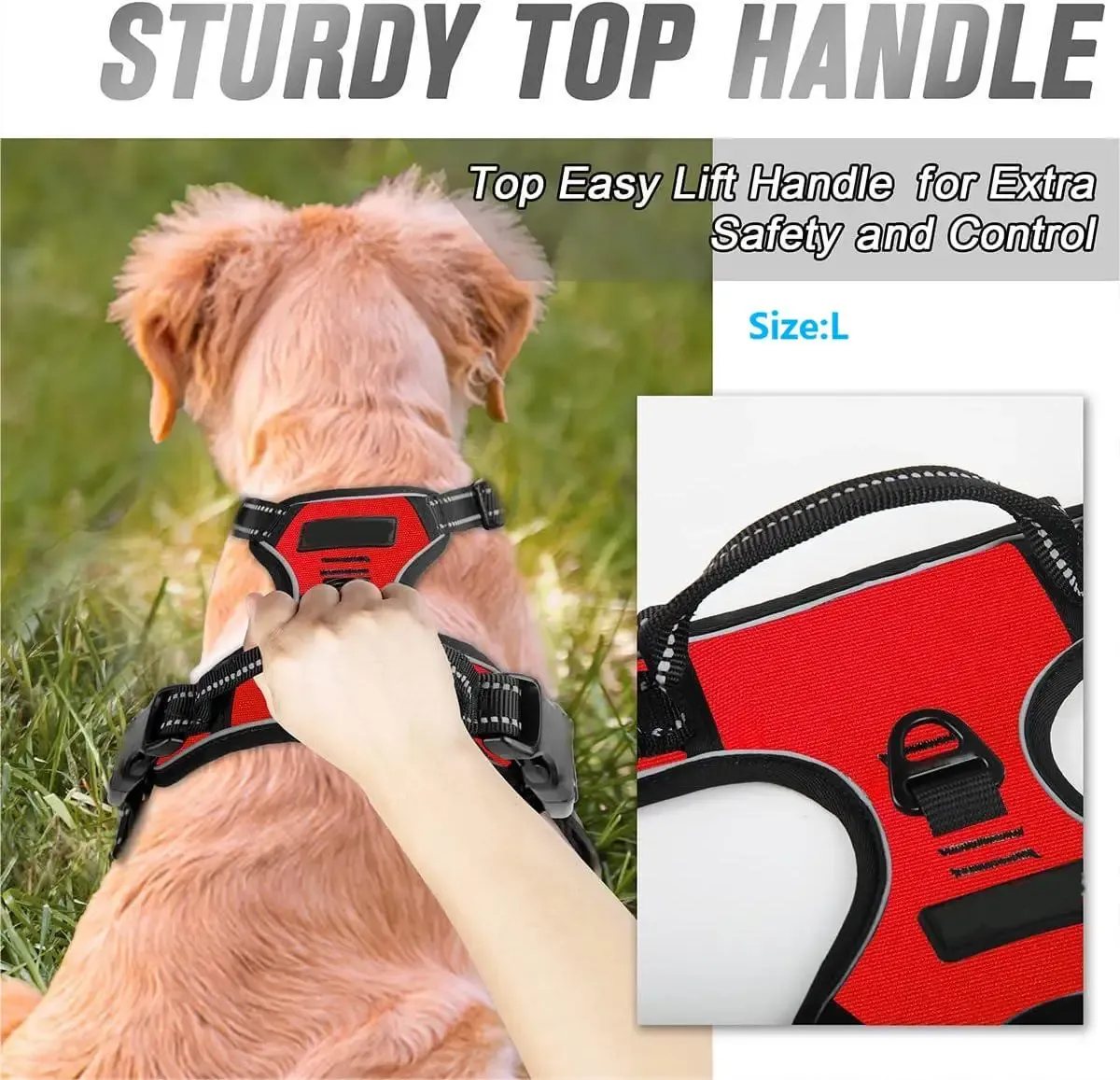 Harnais pour chien, vue de profil