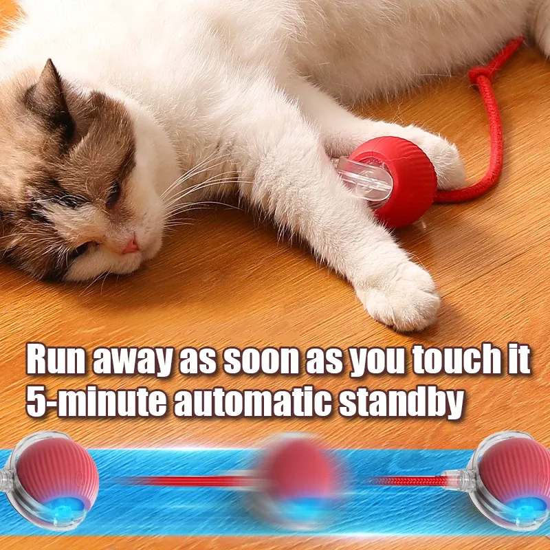 Boule interactive automatique pour chat avec fausse queue de souris, jouet électrique rechargeable 3
