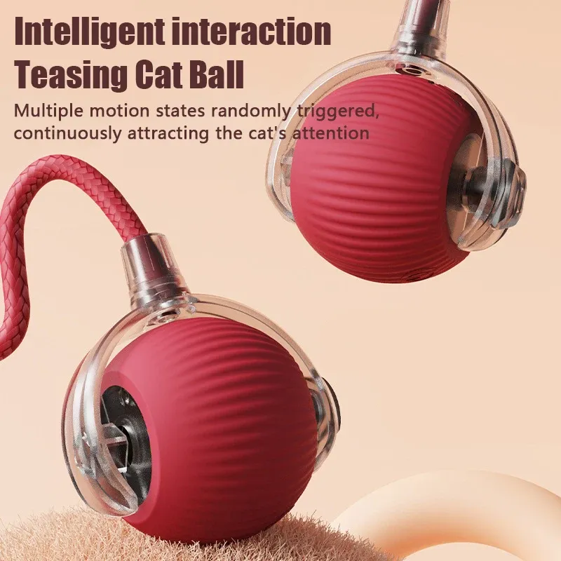 Balle intelligente pour chat vue de face