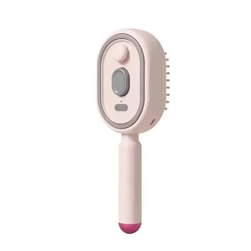 Brosse à vapeur électrique avec pulvérisation d'eau, rechargeable par USB-C, pour démêler, lisser et coiffer tout en contrôlant les frisottis 2
