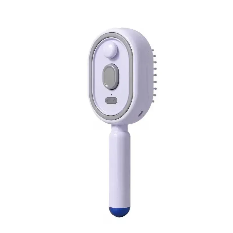 Brosse à vapeur électrique avec pulvérisation d'eau, rechargeable par USB-C, pour démêler, lisser et coiffer tout en contrôlant les frisottis 6