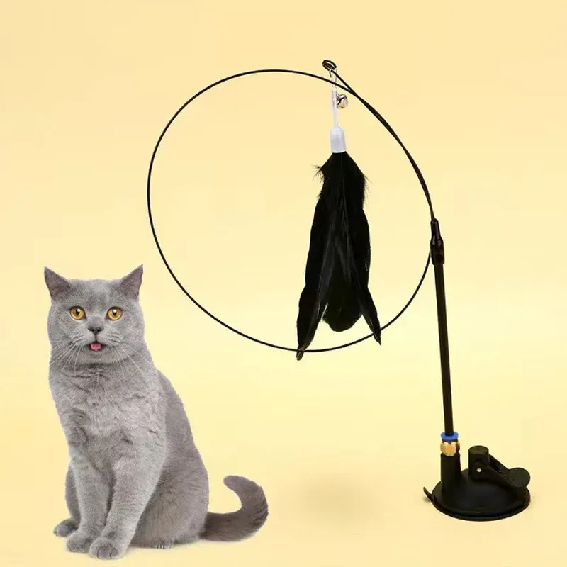Jouet interactif pour chat en situation