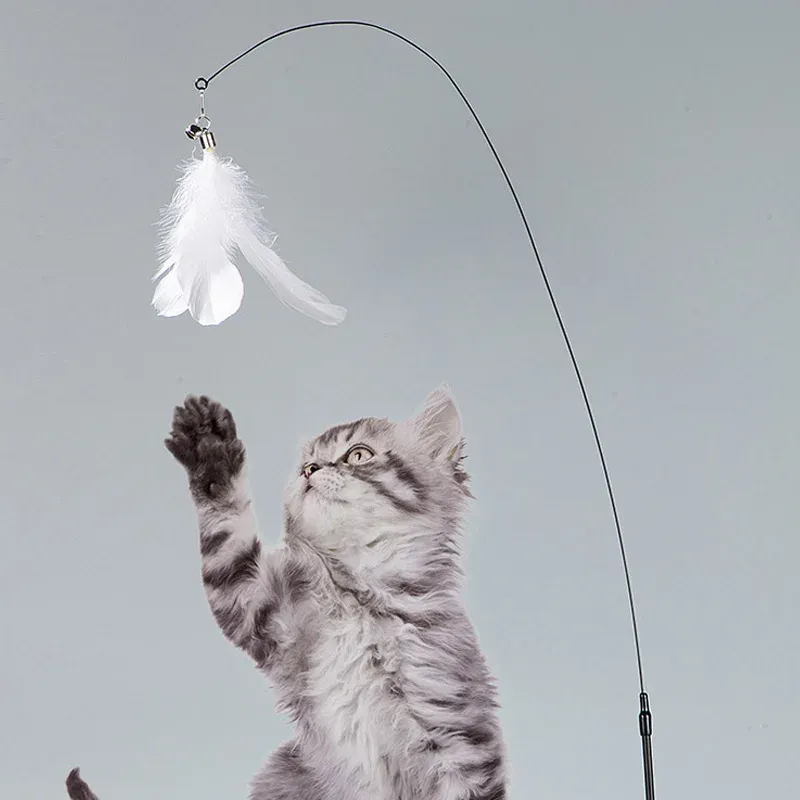 Plumes du jouet pour chat