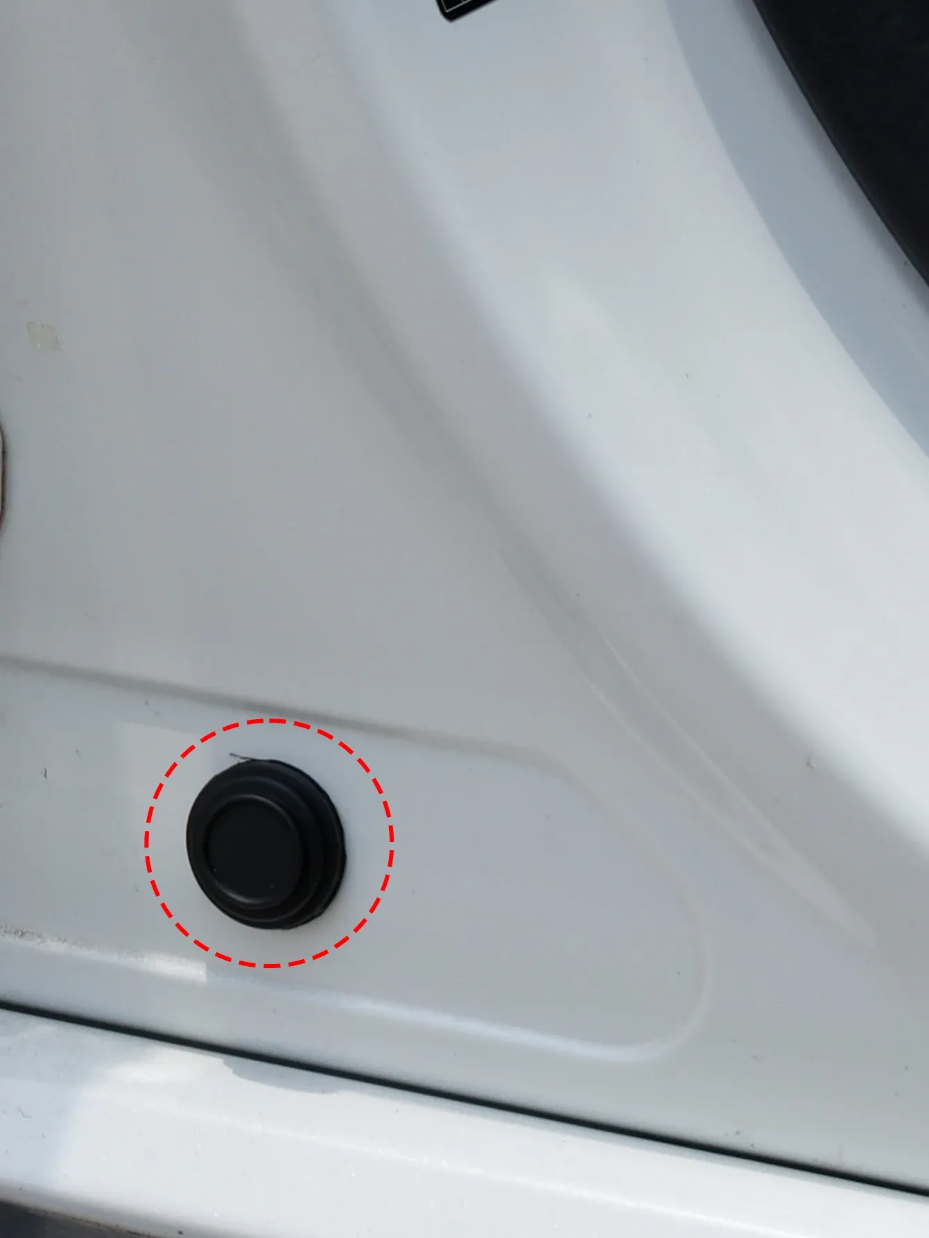 Vue détaillée des coussinets anti-collision