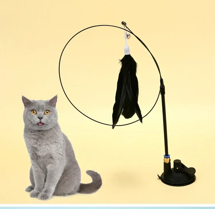 Jouet interactif pour chat, ambiance lifestyle