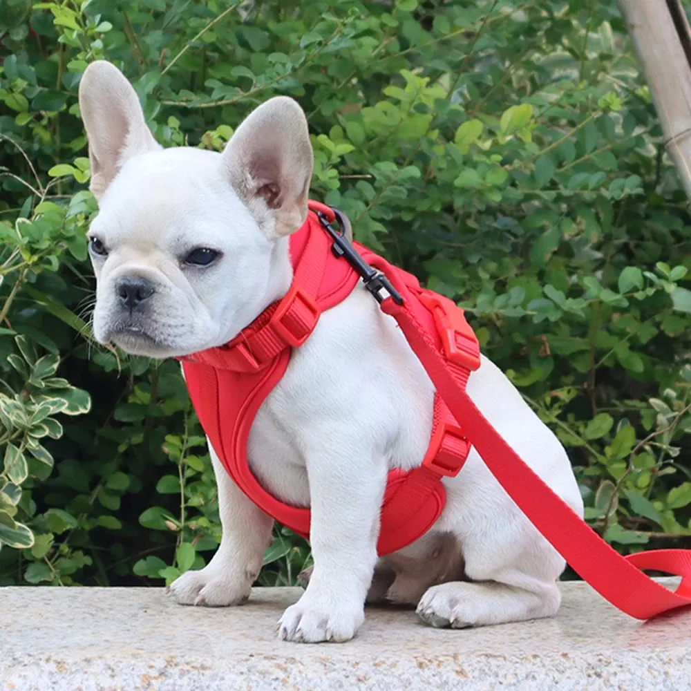 Harnais pour chien, vue détaillée 15