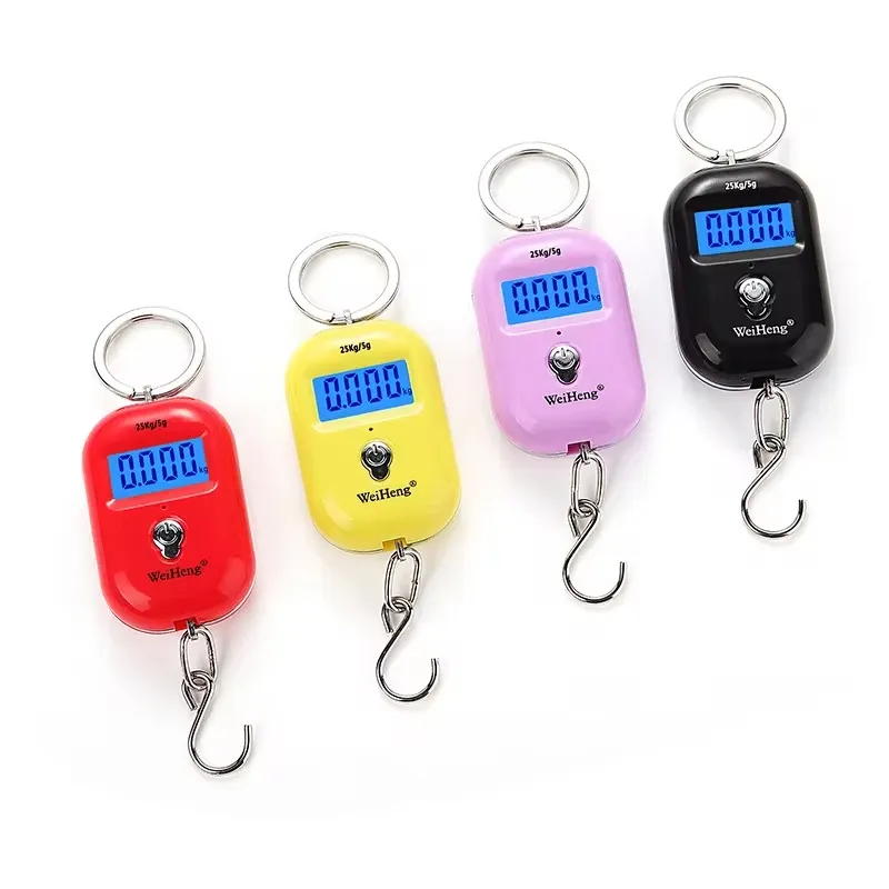 Ce titre est déjà en français. Voici sa traduction propre, sans mots-clés superflus :

Balance suspendue portable 25 kg / 5 g, mini balance numérique LCD pour bagages et pêche, balance électronique de voyage 3