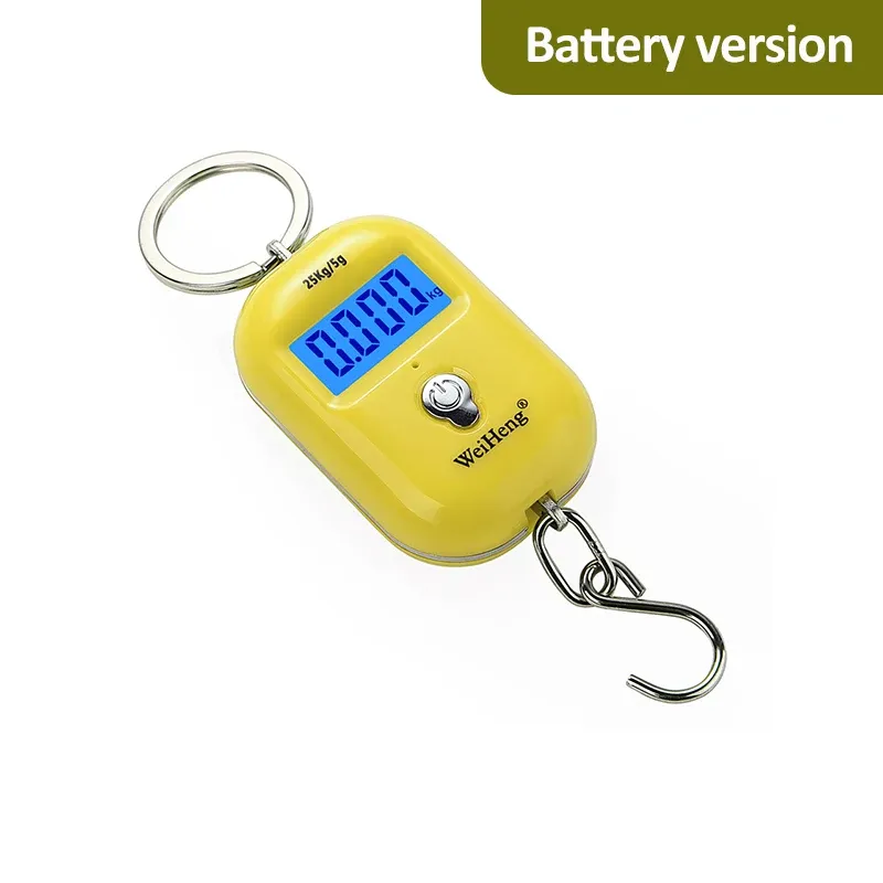 Ce titre est déjà en français. Voici sa traduction propre, sans mots-clés superflus :

Balance suspendue portable 25 kg / 5 g, mini balance numérique LCD pour bagages et pêche, balance électronique de voyage 13