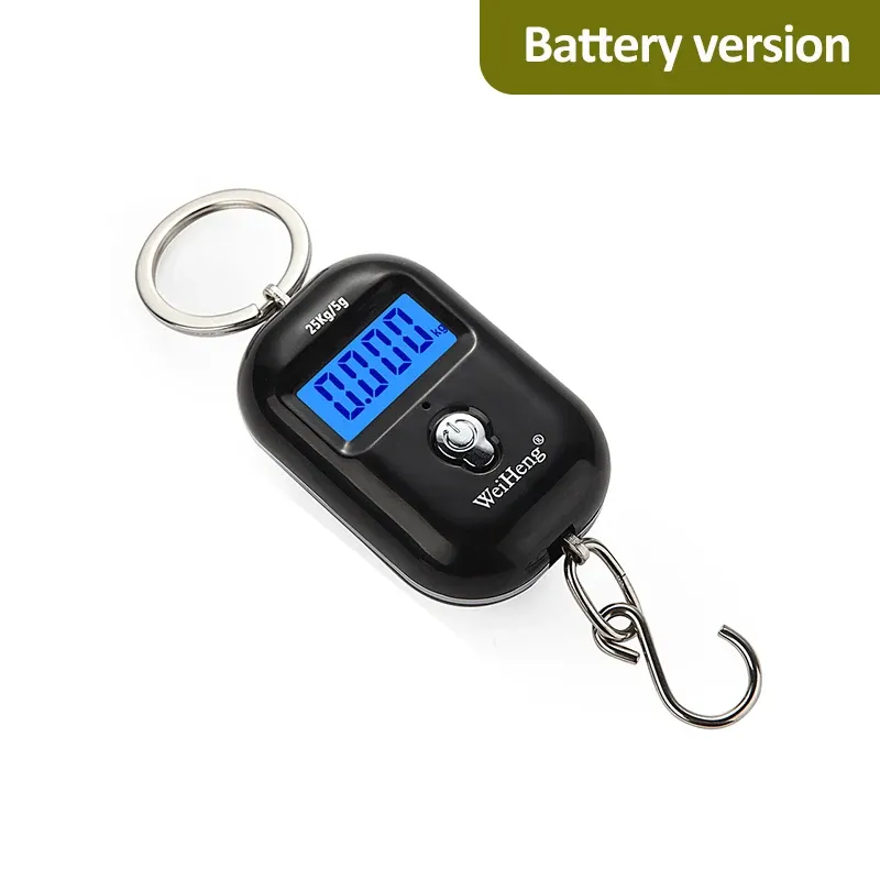 Ce titre est déjà en français. Voici sa traduction propre, sans mots-clés superflus :

Balance suspendue portable 25 kg / 5 g, mini balance numérique LCD pour bagages et pêche, balance électronique de voyage 12
