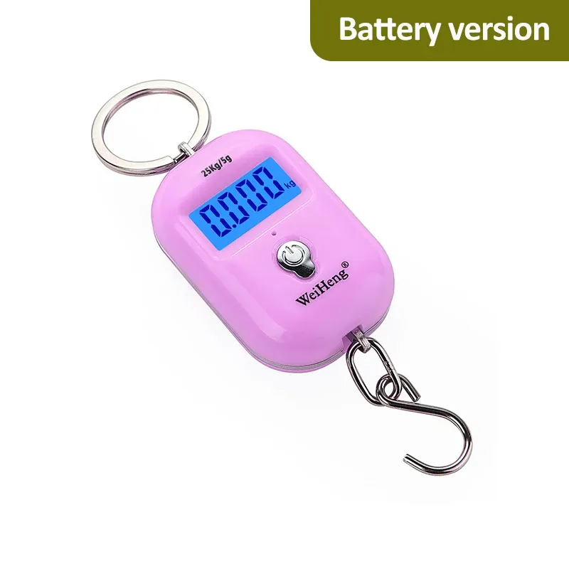 Ce titre est déjà en français. Voici sa traduction propre, sans mots-clés superflus :

Balance suspendue portable 25 kg / 5 g, mini balance numérique LCD pour bagages et pêche, balance électronique de voyage 10