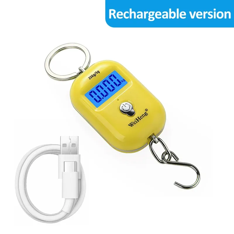 Ce titre est déjà en français. Voici sa traduction propre, sans mots-clés superflus :

Balance suspendue portable 25 kg / 5 g, mini balance numérique LCD pour bagages et pêche, balance électronique de voyage 11
