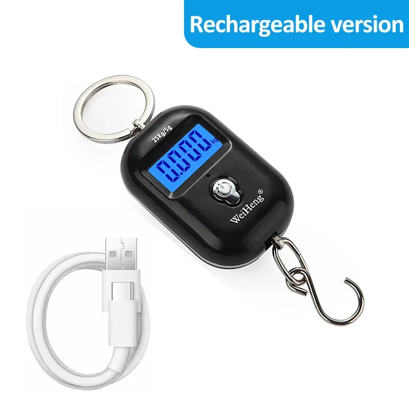 Ce titre est déjà en français. Voici sa traduction propre, sans mots-clés superflus :

Balance suspendue portable 25 kg / 5 g, mini balance numérique LCD pour bagages et pêche, balance électronique de voyage 8