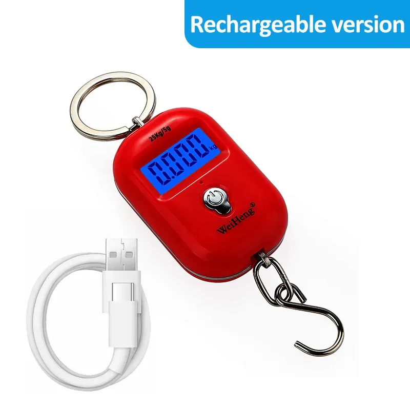 Ce titre est déjà en français. Voici sa traduction propre, sans mots-clés superflus :

Balance suspendue portable 25 kg / 5 g, mini balance numérique LCD pour bagages et pêche, balance électronique de voyage 9