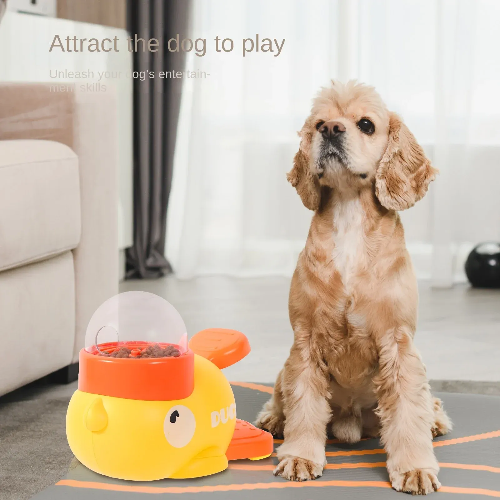 Jouet pour chien, vue détaillée