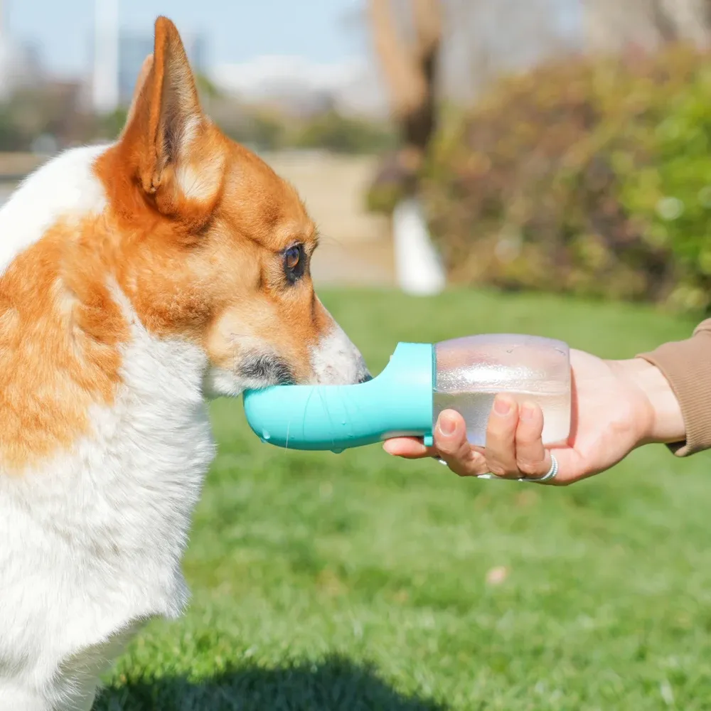 Bouteille d'eau portable pour chien 300 ml avec bol intégré, adaptée aux chiots, aux chiens de petite et moyenne taille et aux chats, idéale pour la randonnée 4