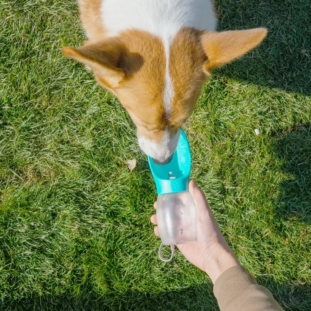 Bouteille d'eau portable pour chien 300 ml avec bol intégré, adaptée aux chiots, aux chiens de petite et moyenne taille et aux chats, idéale pour la randonnée 5
