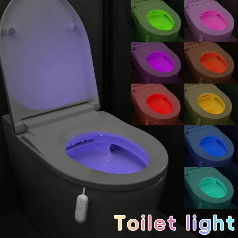 Lampe de toilette, vue d'ensemble