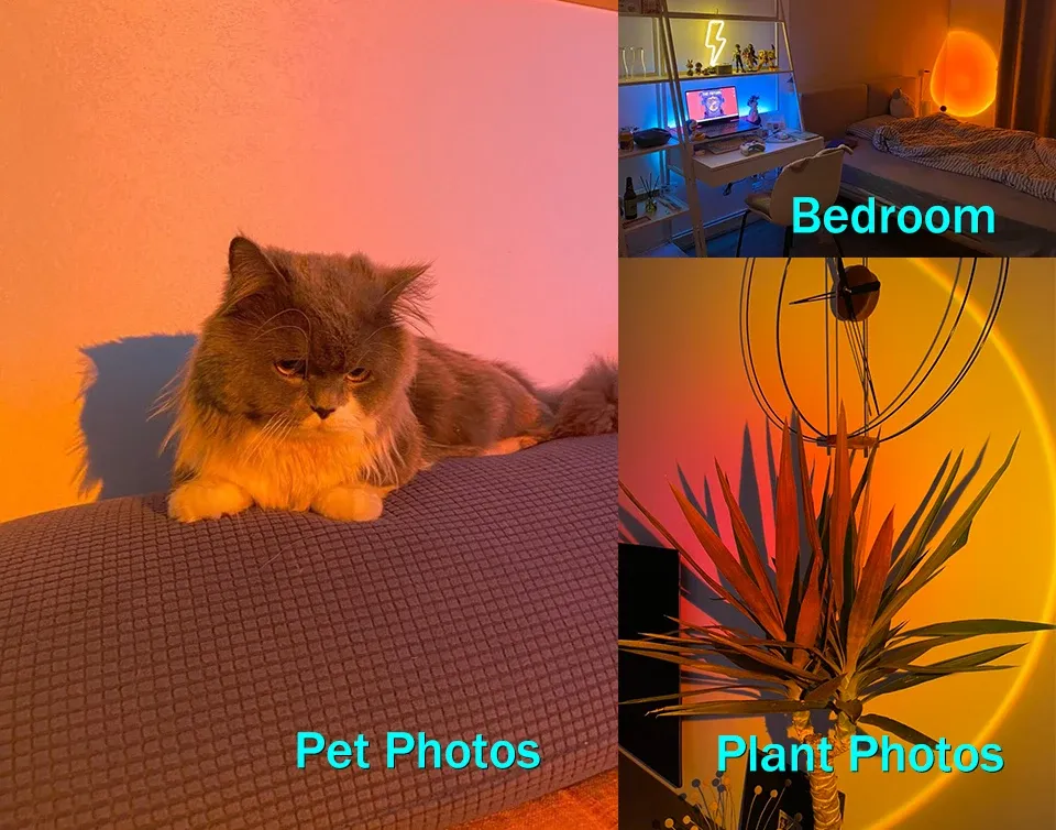 Lampe posée au sol en intérieur