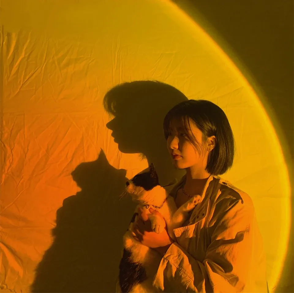 Lampe coucher de soleil dans un salon