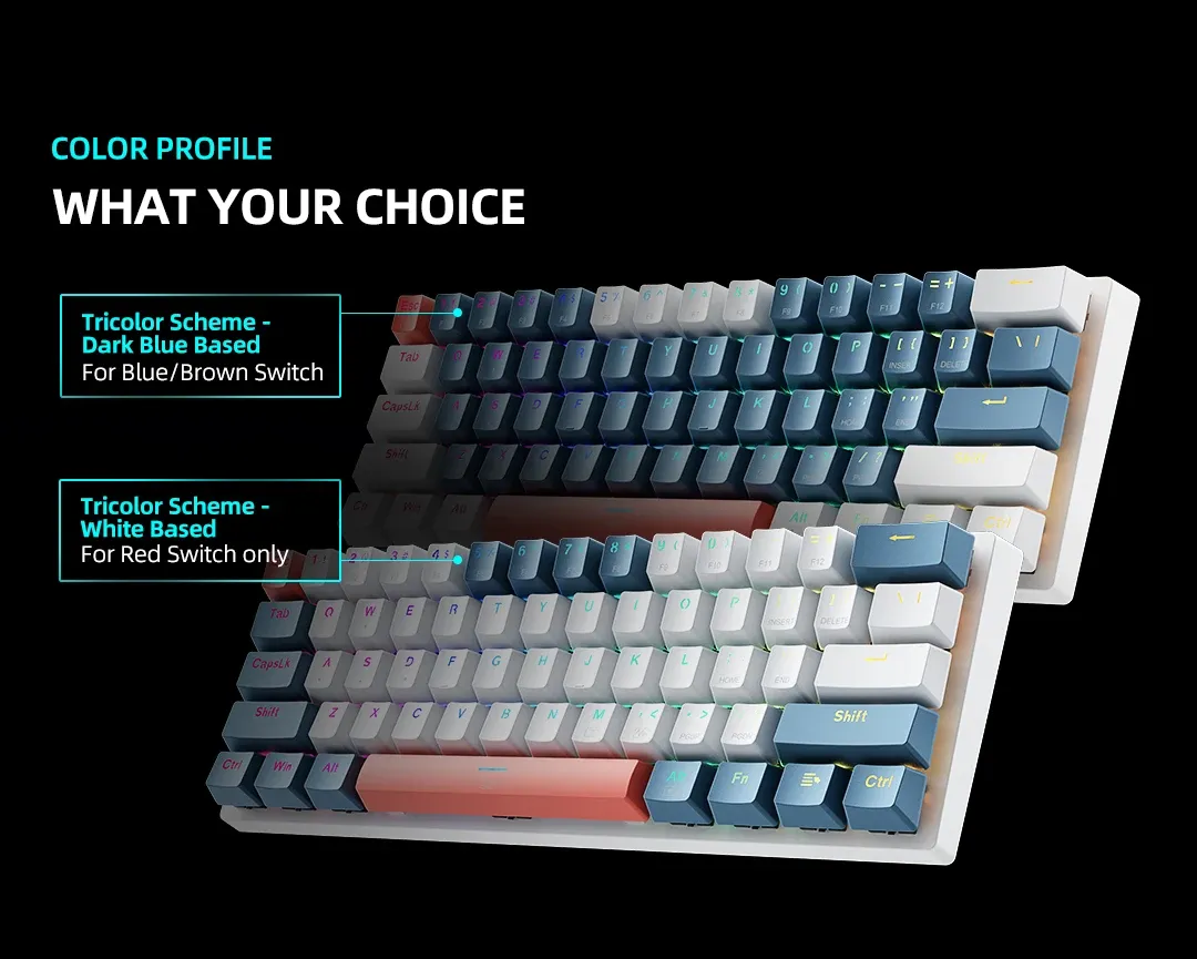 Choix des coloris du K500-B61 MINI