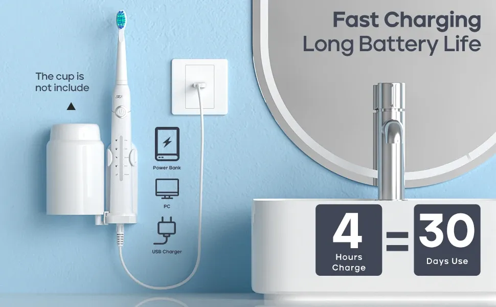 Brosse à dents électrique Seago avec indicateur de charge LED