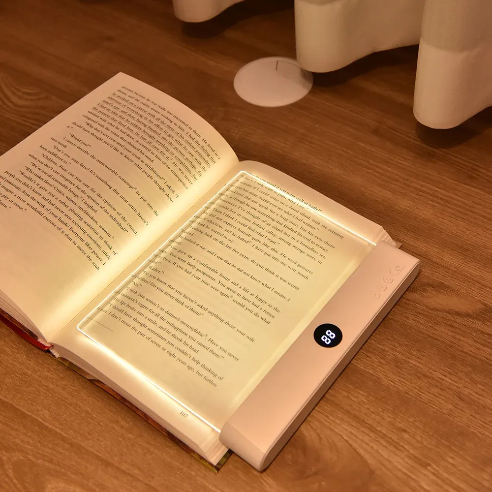Lampe de livre LED 2 en 1 avec veilleuse, 3 températures de couleur, gradation continue, rechargeable par USB et minuterie 6