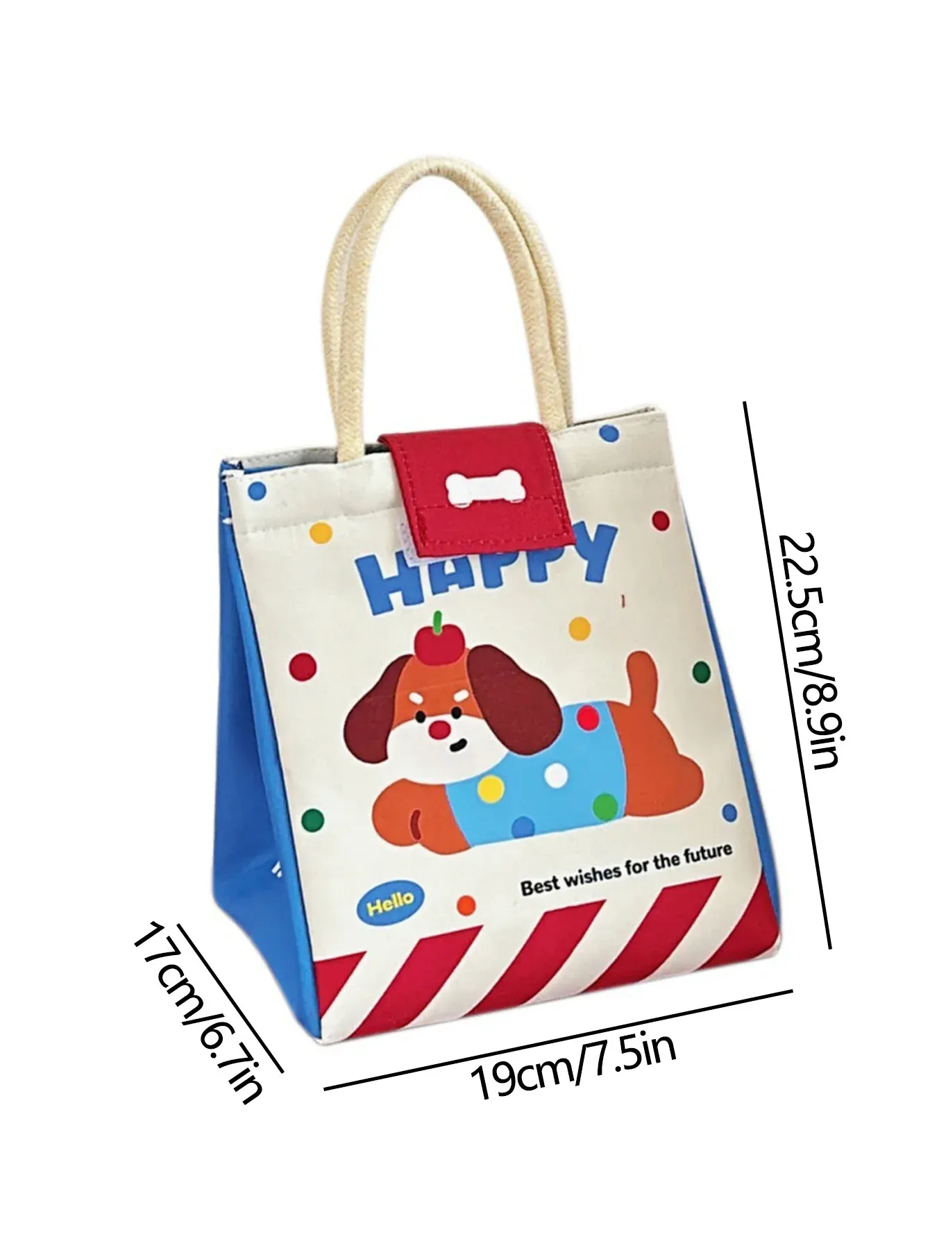Détails du sac Bento mignon