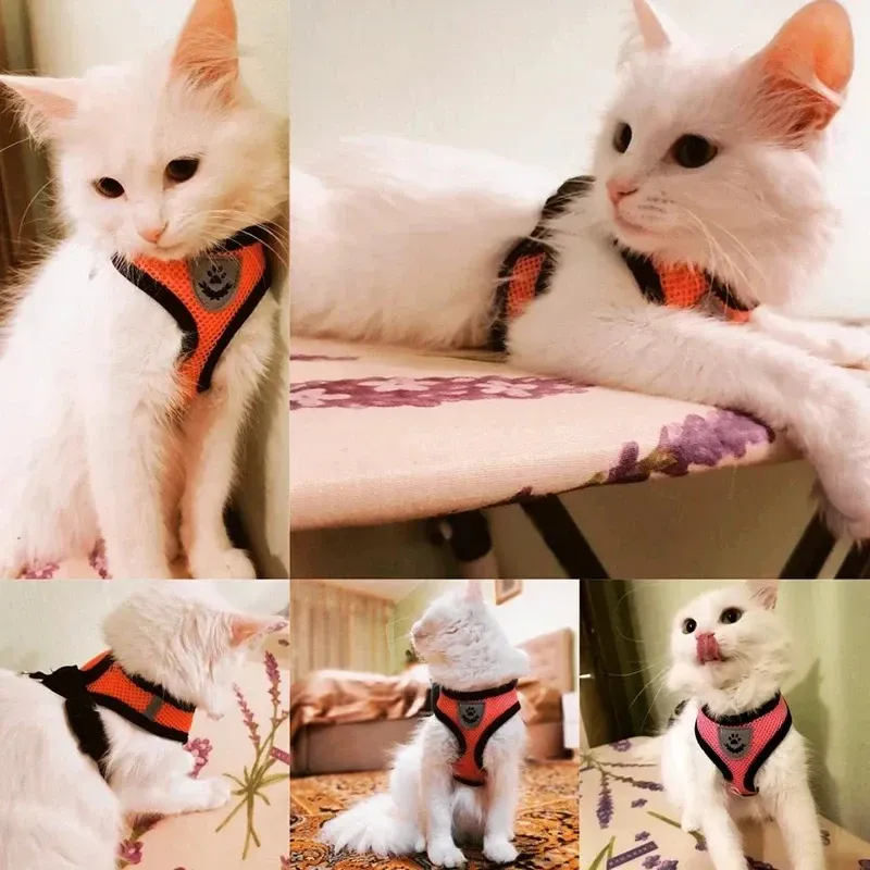 Harnais réglable en maille avec laisse pour chats et chiens de petite et moyenne taille, gilet de marche en polyester 2