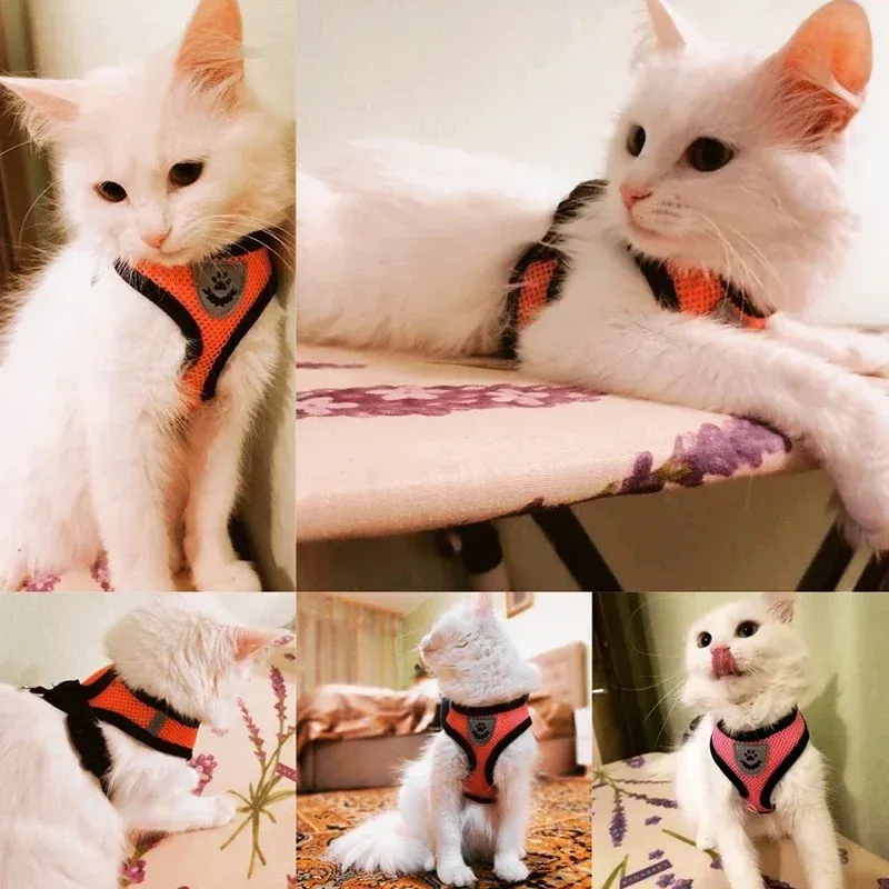 Harnais en maille pour animal de compagnie, finitions