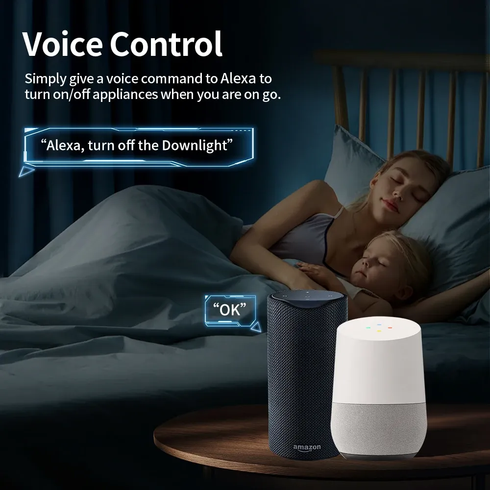 Commande vocale avec Alexa et Google Home