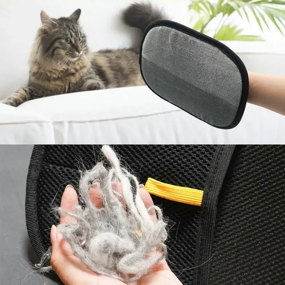 Gant de toilettage pour animaux de compagnie, brosse et épilateur pour poils de chien et de chat 2