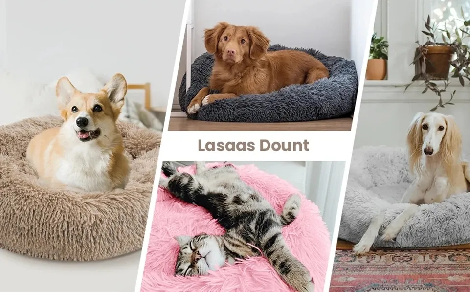 Lit cocon pour animal de compagnie, présentation lifestyle