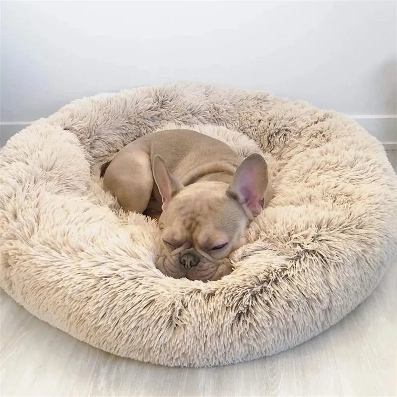 Lit cocon pour animal de compagnie, zoom sur la base