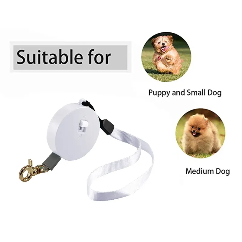 Laisse rétractable automatique 2 m pour chiot, chien et chat 3
