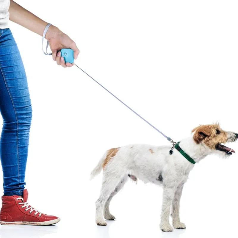 Laisse rétractable automatique 2 m pour chiot, chien et chat 5