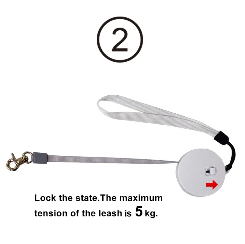 Laisse rétractable pour chien, vue d'ensemble