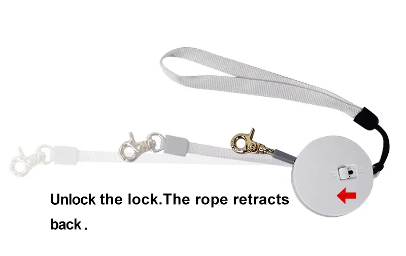 Laisse rétractable pour chien, détail accessoire