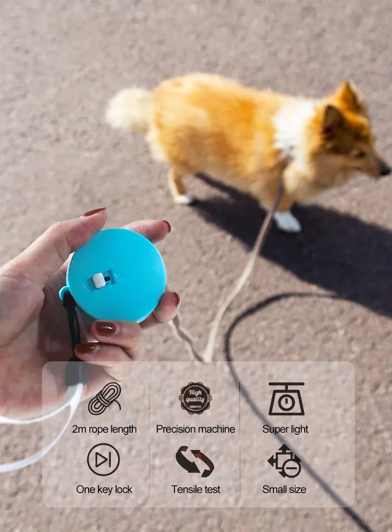 Laisse rétractable pour chien, utilisation au quotidien