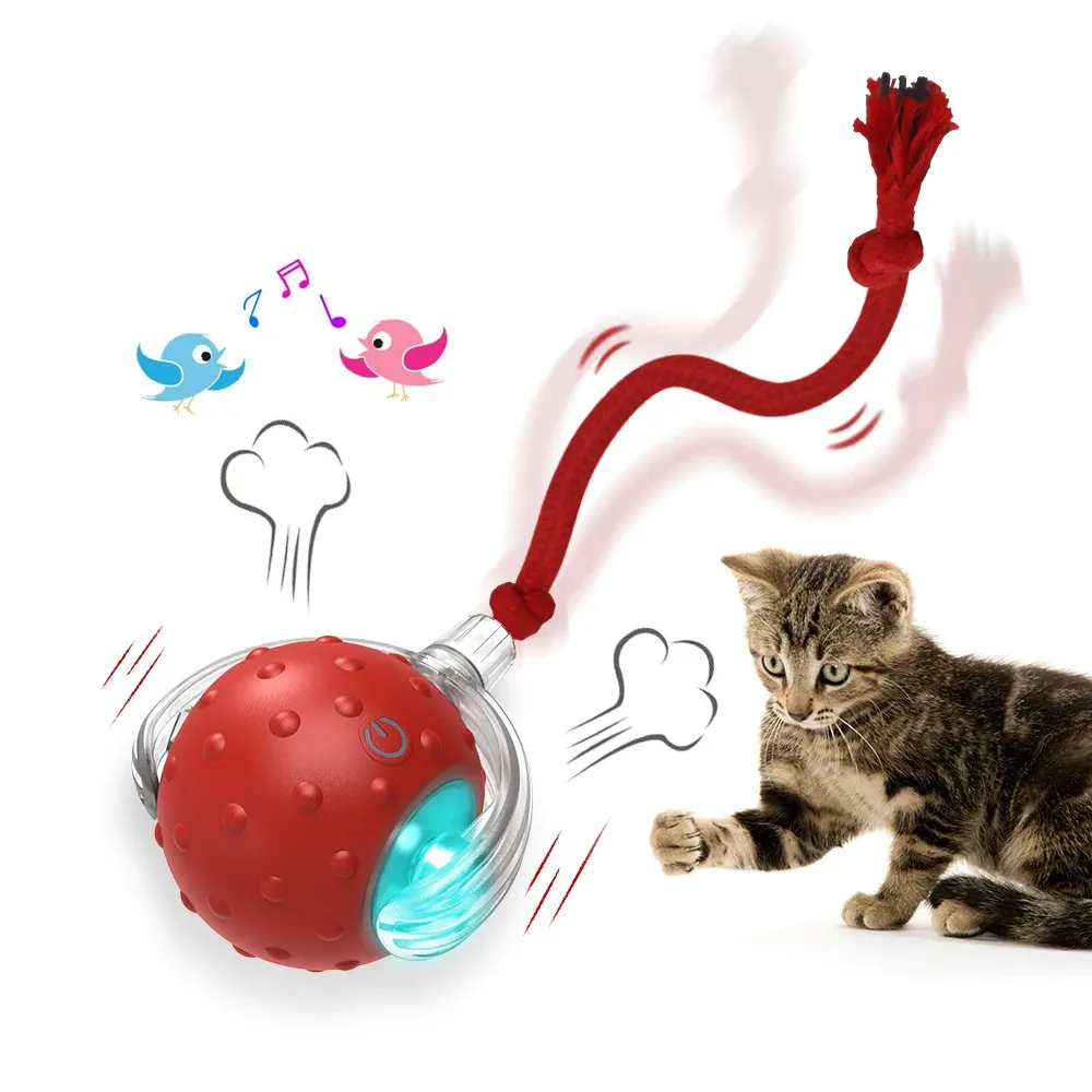 Balle interactive pour chat avec oiseaux, boules roulantes et capteur de mouvement, jouet d'entraînement pour chatons et animaux de compagnie