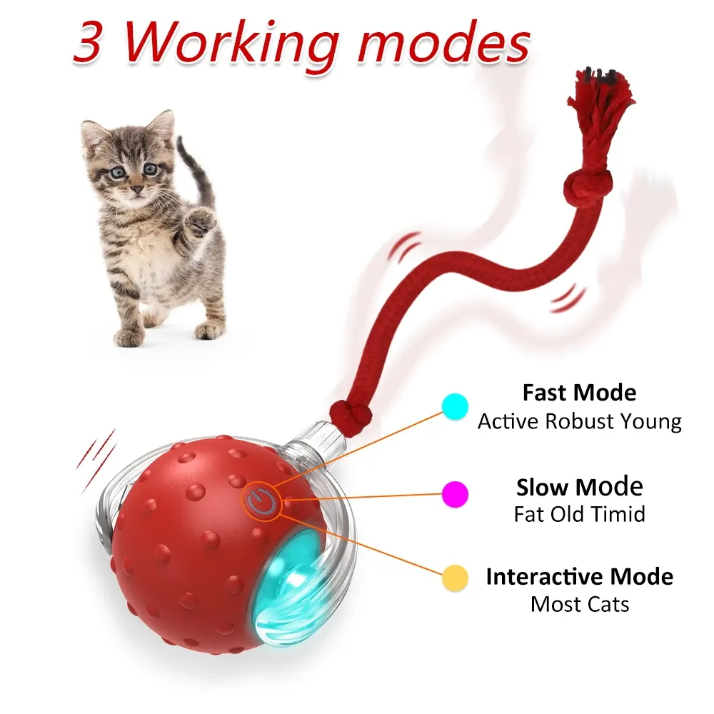 Balle interactive pour chat avec oiseaux, boules roulantes et capteur de mouvement, jouet d'entraînement pour chatons et animaux de compagnie 2