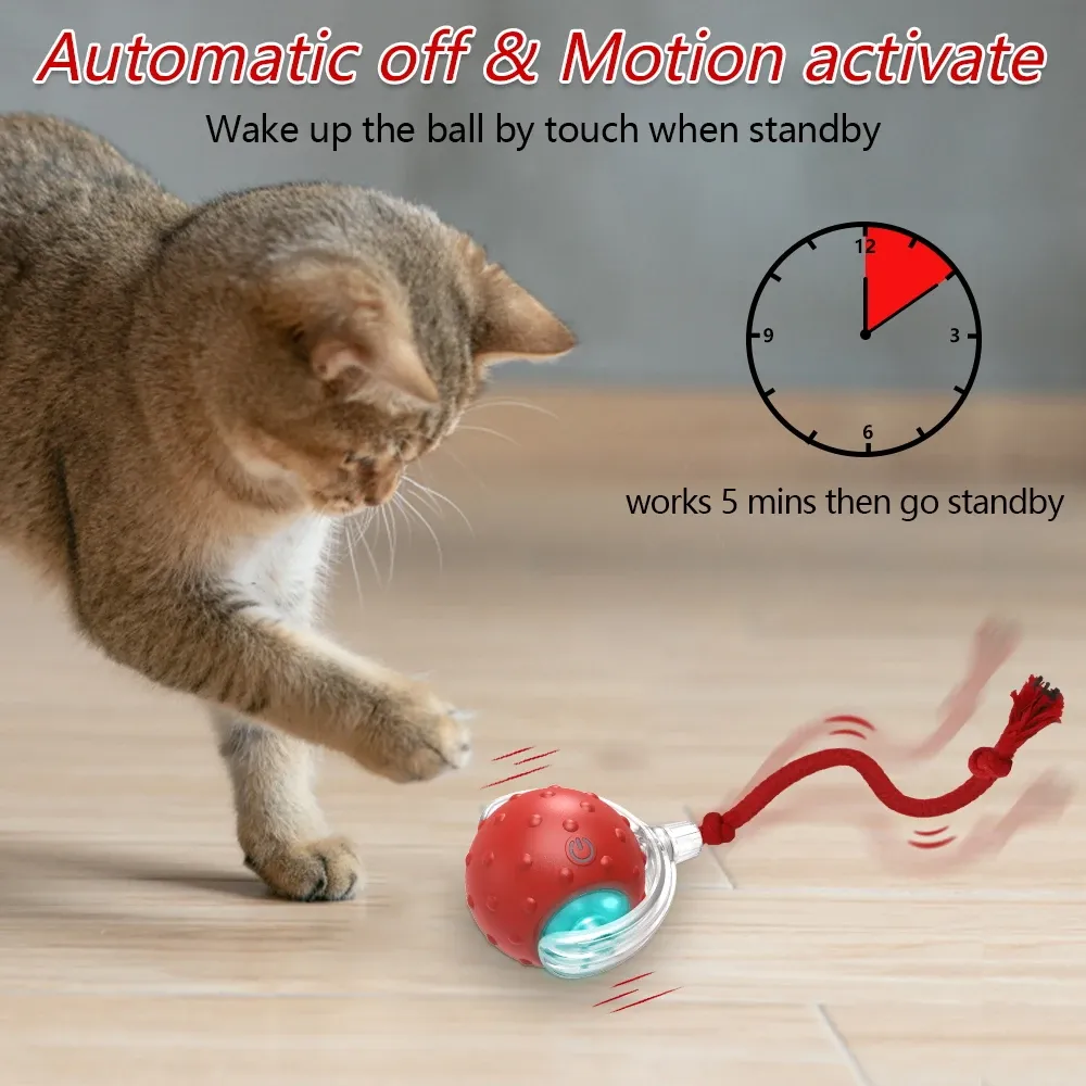 Balle interactive pour chat avec oiseaux, boules roulantes et capteur de mouvement, jouet d'entraînement pour chatons et animaux de compagnie 3