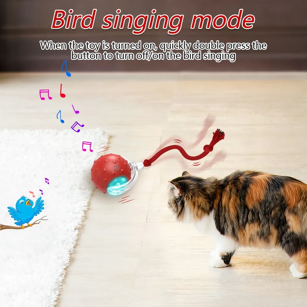 Balle interactive pour chat avec oiseaux, boules roulantes et capteur de mouvement, jouet d'entraînement pour chatons et animaux de compagnie 4