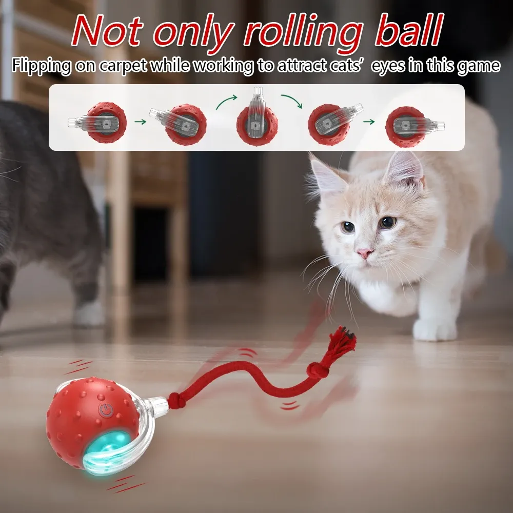 Balle interactive pour chat avec oiseaux, boules roulantes et capteur de mouvement, jouet d'entraînement pour chatons et animaux de compagnie 5