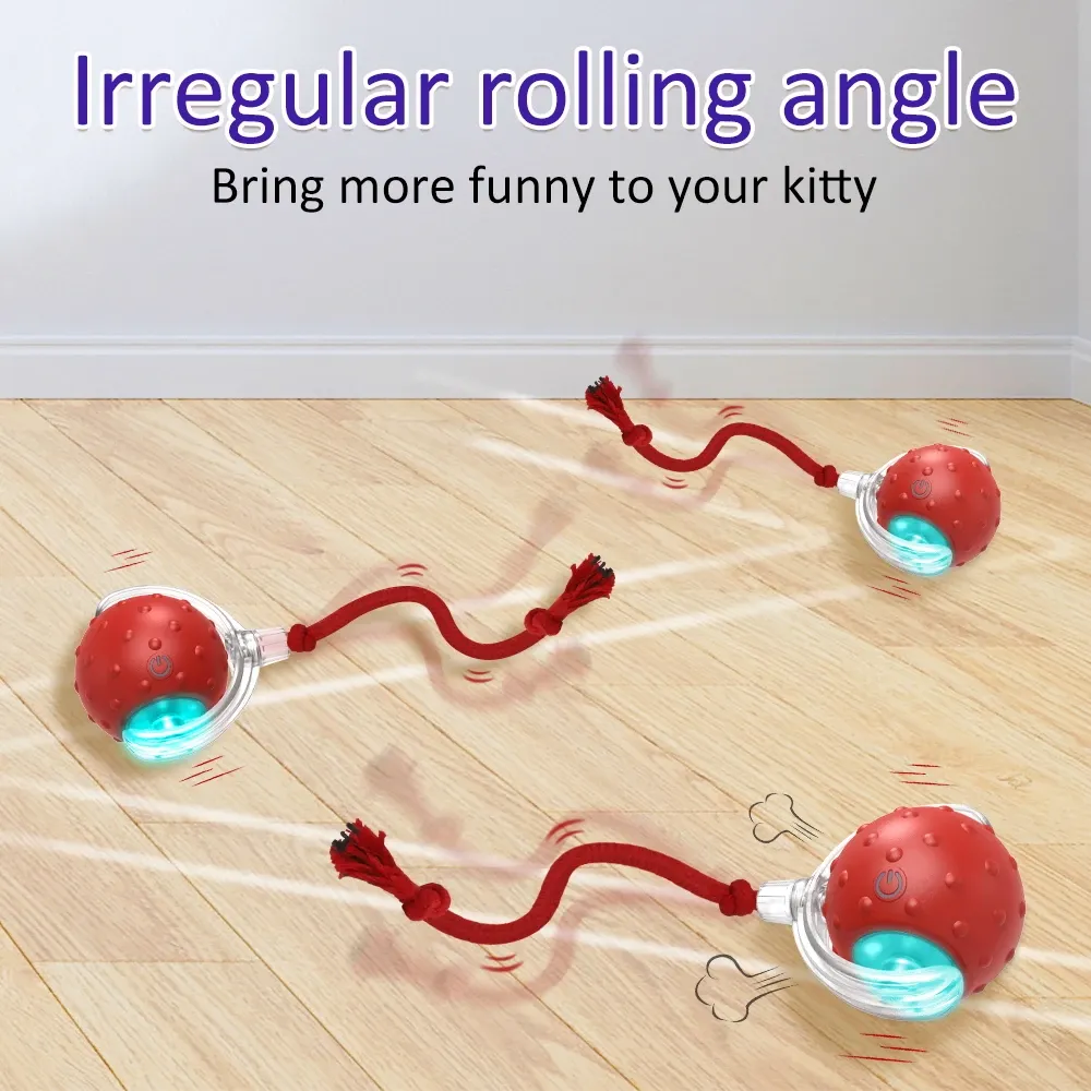 Détails du jouet interactif pour chat