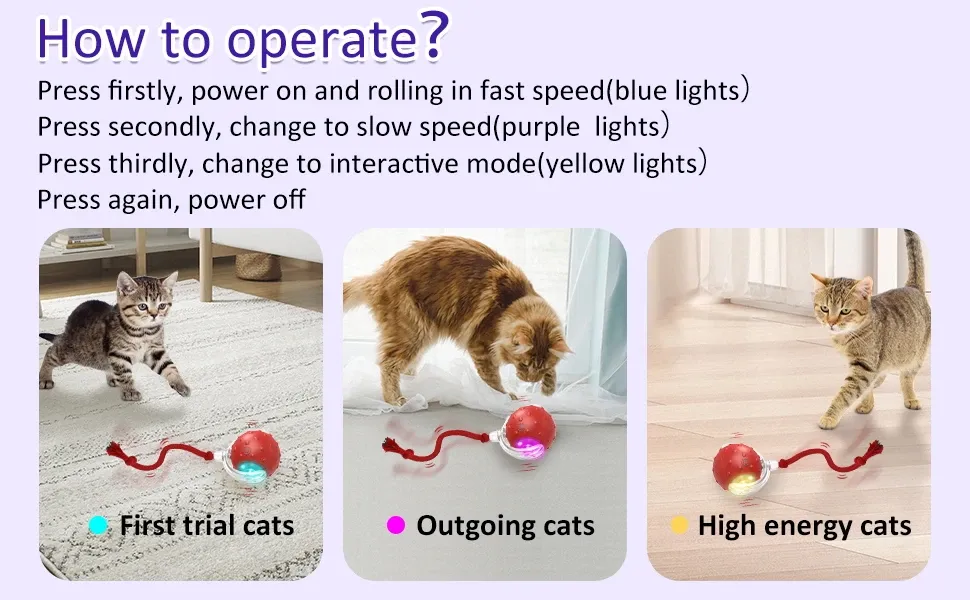 Jouet interactif pour chat, ambiance de jeu
