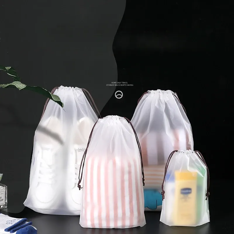 Ensemble de 10 sacs à chaussures de voyage transparents